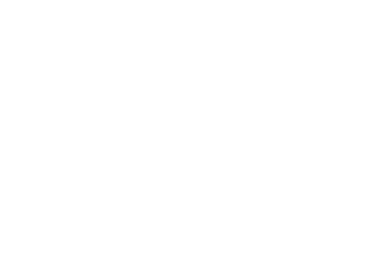 Logo Wilson Sons